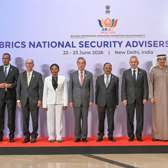 Greater BRICS role urged in upholding intl order