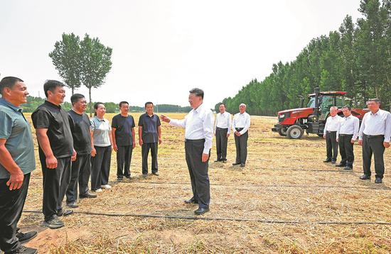 Xi calls for modernizing rural areas