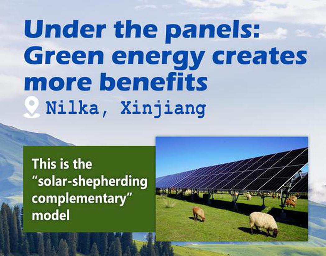 Under the panels: Green energy creates more benefits in Nilka, Xinjiang