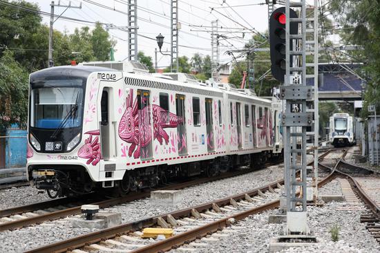 Chinese-built passenger trains deliver smooth rides for fans during World Cup