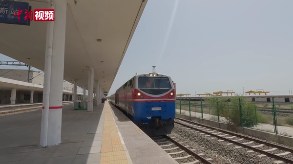 (Photo: CNS  video)