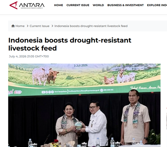 Indonesia rolls out policy to boost drought-resistant livestock feed