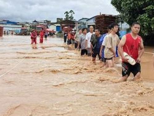 Flooding in south China triggers mass snake escape from breeding farms