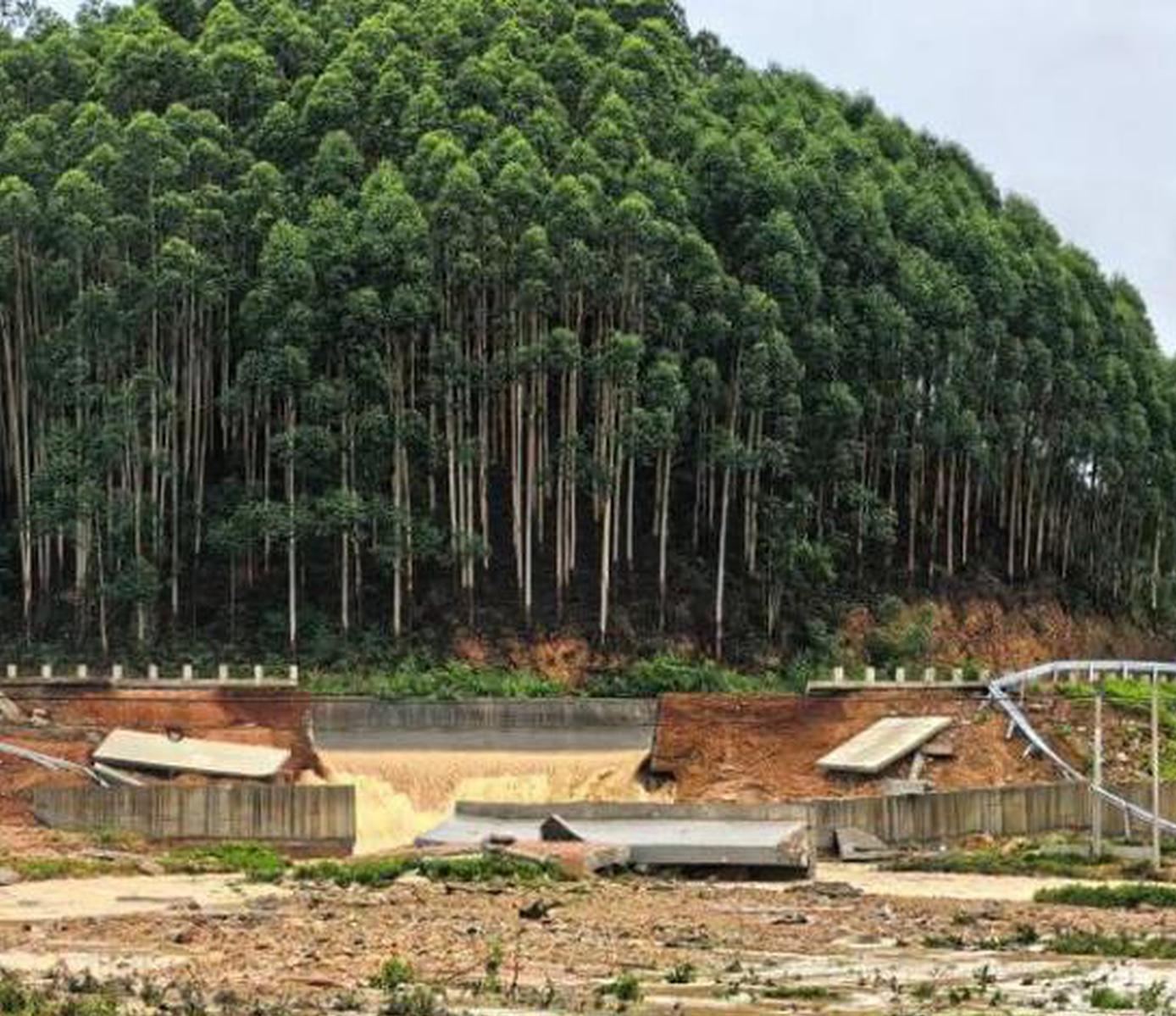 4 killed, 8 missing as torrential rains hit South China's Hengzhou