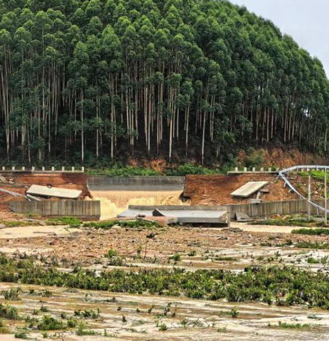 China raises flood emergency response after Typhoon Maysak swells Pearl River
