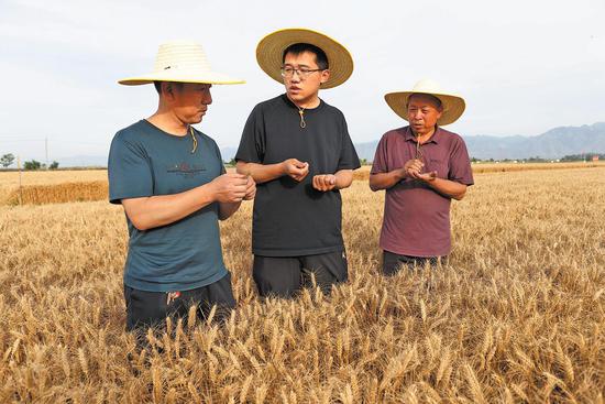 Shanxi agricultural expert honored for advances in seed breeding along Yellow River