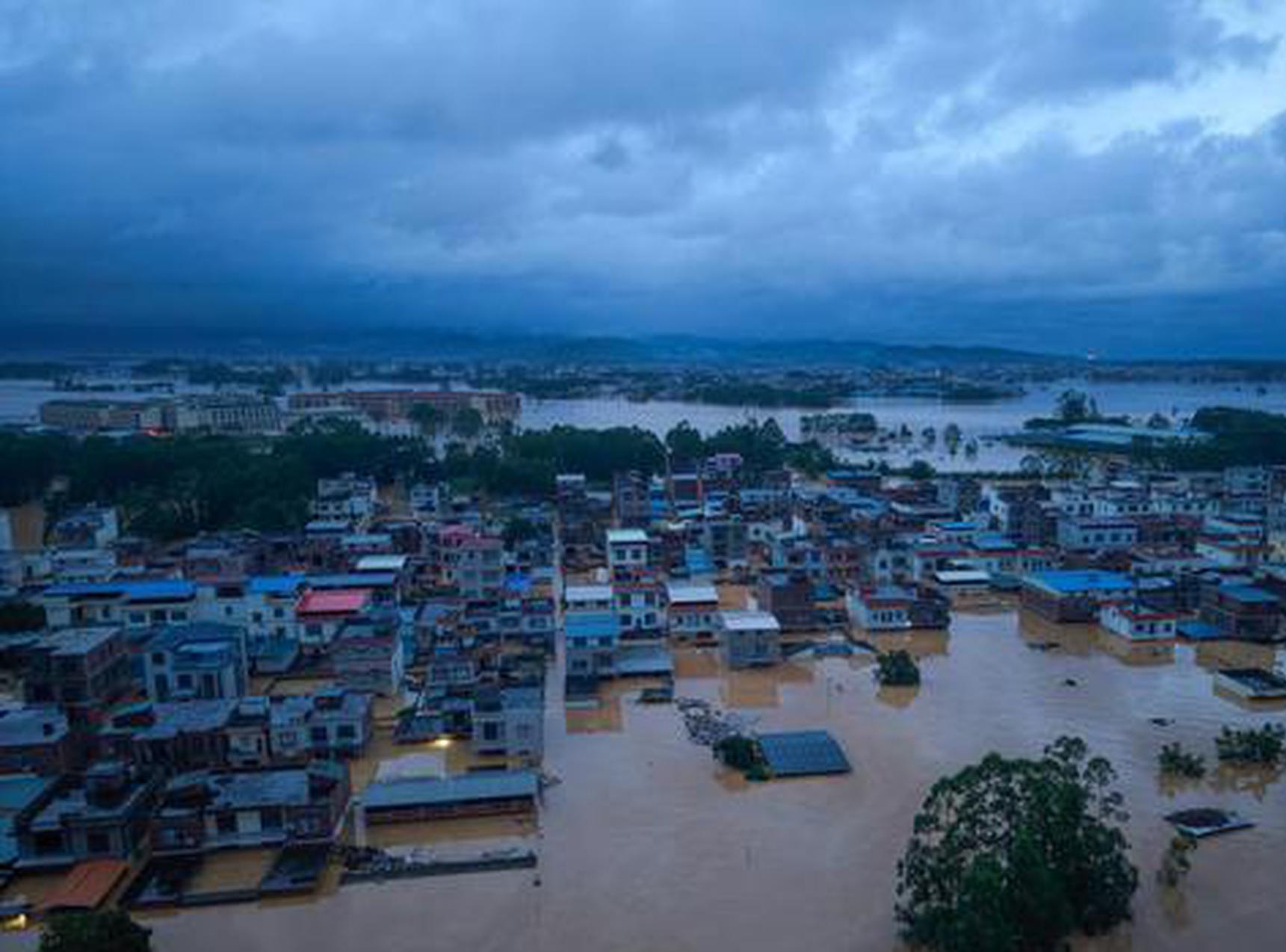 Guangxi steps up efforts to prevent flood-related snakebites