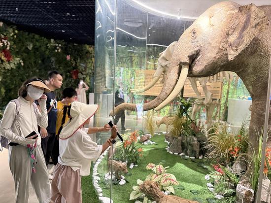 Wild Elephant Valley: A story of harmony between humans and nature in Xishuangbanna
