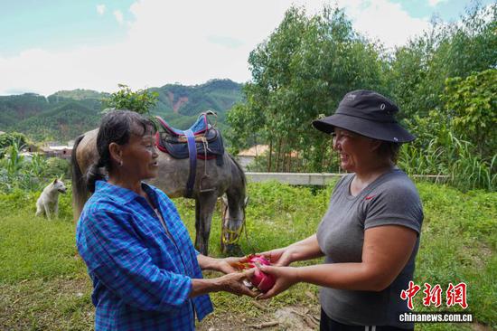 The villagers give the couple some homegrown dragon fruits to thank them for helping transport supplies. (Photo: China News Service)