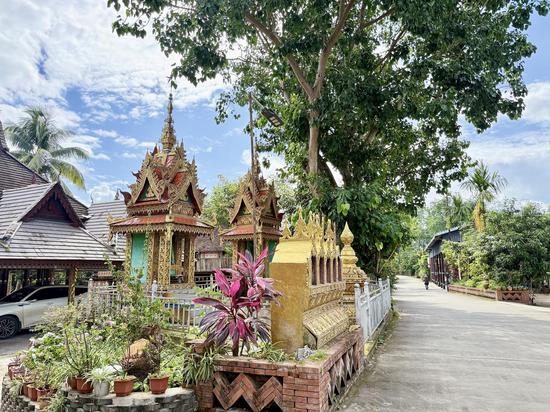 Discovering Sanman in Xishuangbanna: Where the rainforest meets rural revitalization