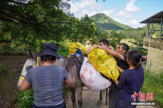 The couple and villagers transport supplies at the site. (Photo: China News Service)
