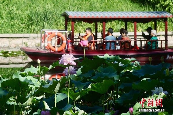 Tourists took a boat ride in the Zijuyuan Park in Beijing to enjoy the lotus flowers, July 15, 2026. (Photo: China News Service)