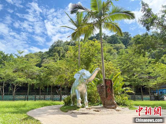 A view of Wild Elephant Valley in the Xishuangbanna National Nature Reserve, southwest China's Yunnan Province. (Photo: China News Network/Huang Fang)