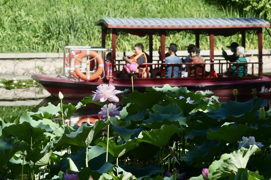 China enters dog days of summer
