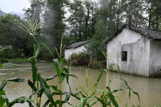 Tropical depression to develop into typhoon, landfall in southeast China