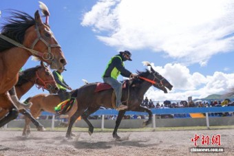 inal of the walking horse race is held during the traditional horse racing events in Sog County, Nagqu City, Xizang Autonomous Region, on July 22, 2026. (Photo: China News Service / Gong Que)