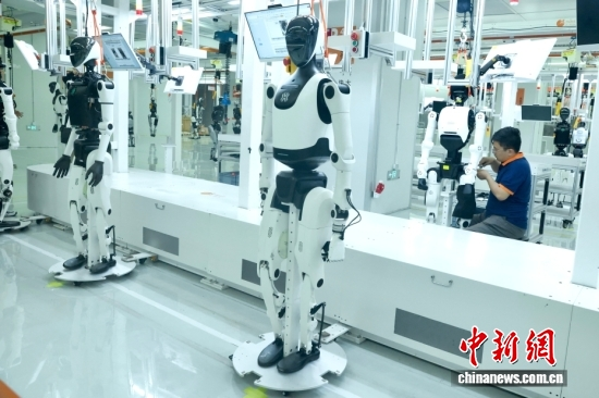 Workers assemble embodied intelligent robots in Beijing, June 16, 2026. (Photo: China News Service/Yi Haifei)