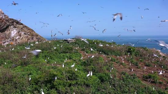 Changshan Islands added to UNESCO World Natural Heritage list