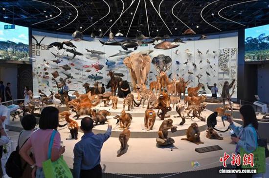 South China's largest comprehensive natural history museum opens in Shenzhen