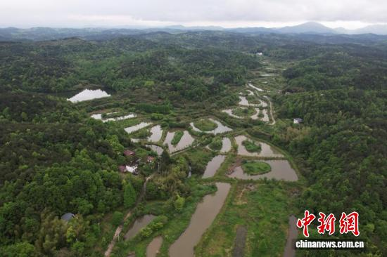 An aerial view of the Anhui Chinese Alligator National Nature Reserve. (Photo: China News Service/Zhang Qiang)