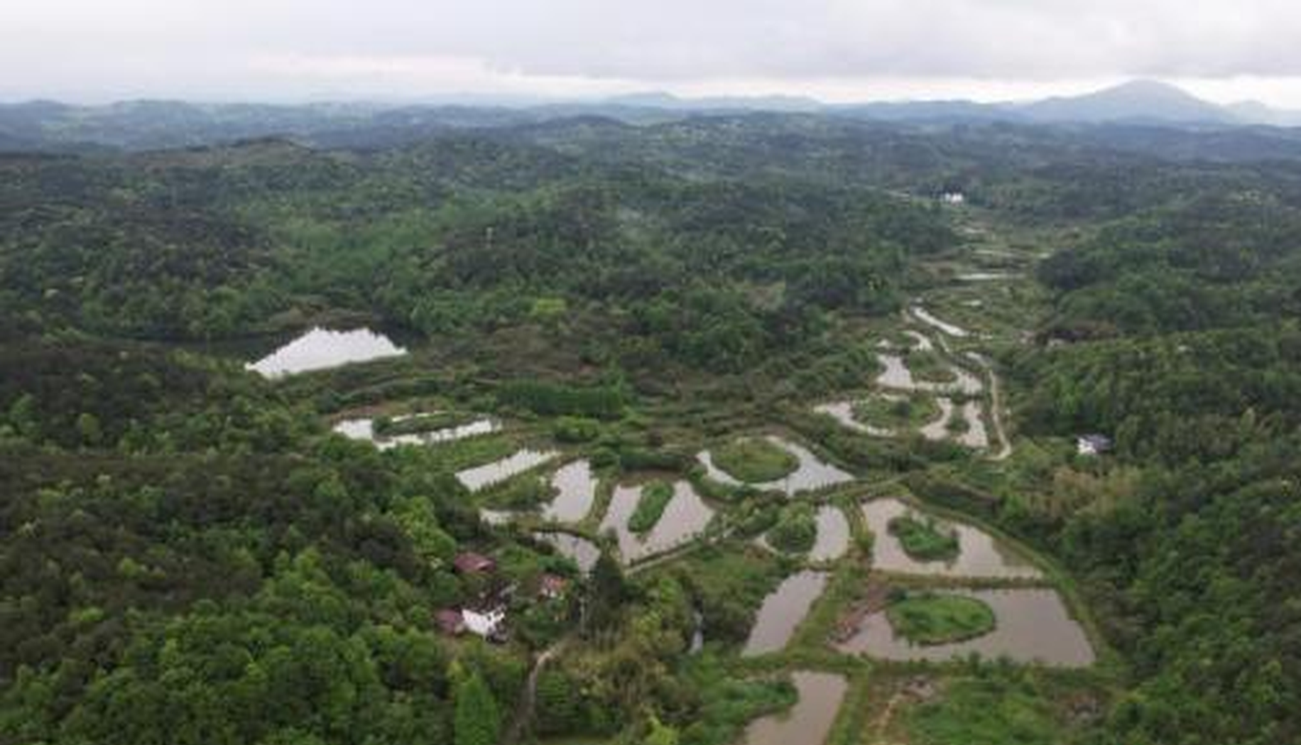 Protected species populations rise in 87% of China's national nature reserves