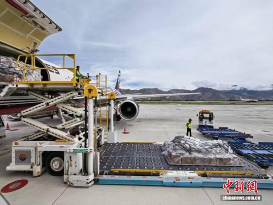 Cold-chain handling of Nyingchi matsutake. (Photo courtesy of Xizang Airport New Area Investment Co., Ltd.)