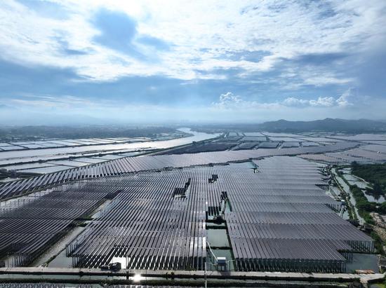 Exploring spectacular photovoltaic panels above shrimp ponds