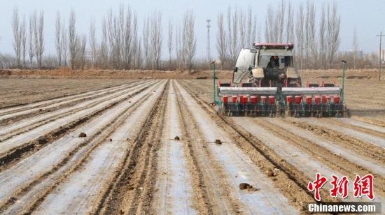 Seeders equipped with the BeiDou System work in fields in Aksu, northwest China's Xinjiang Uygur Autonomous Region, February 23, 2025. (Photo: China News Service: Ba Liangting)