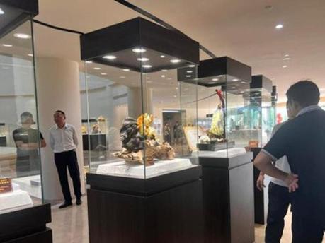 Jade Carving exhibition bridges north-south craftsmanship in Nanjing