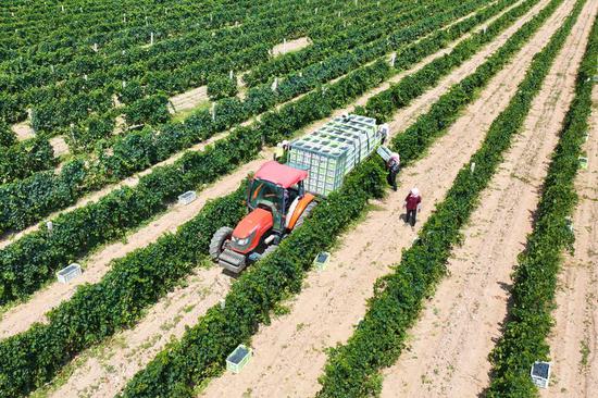 Once-barren region now a growth hub