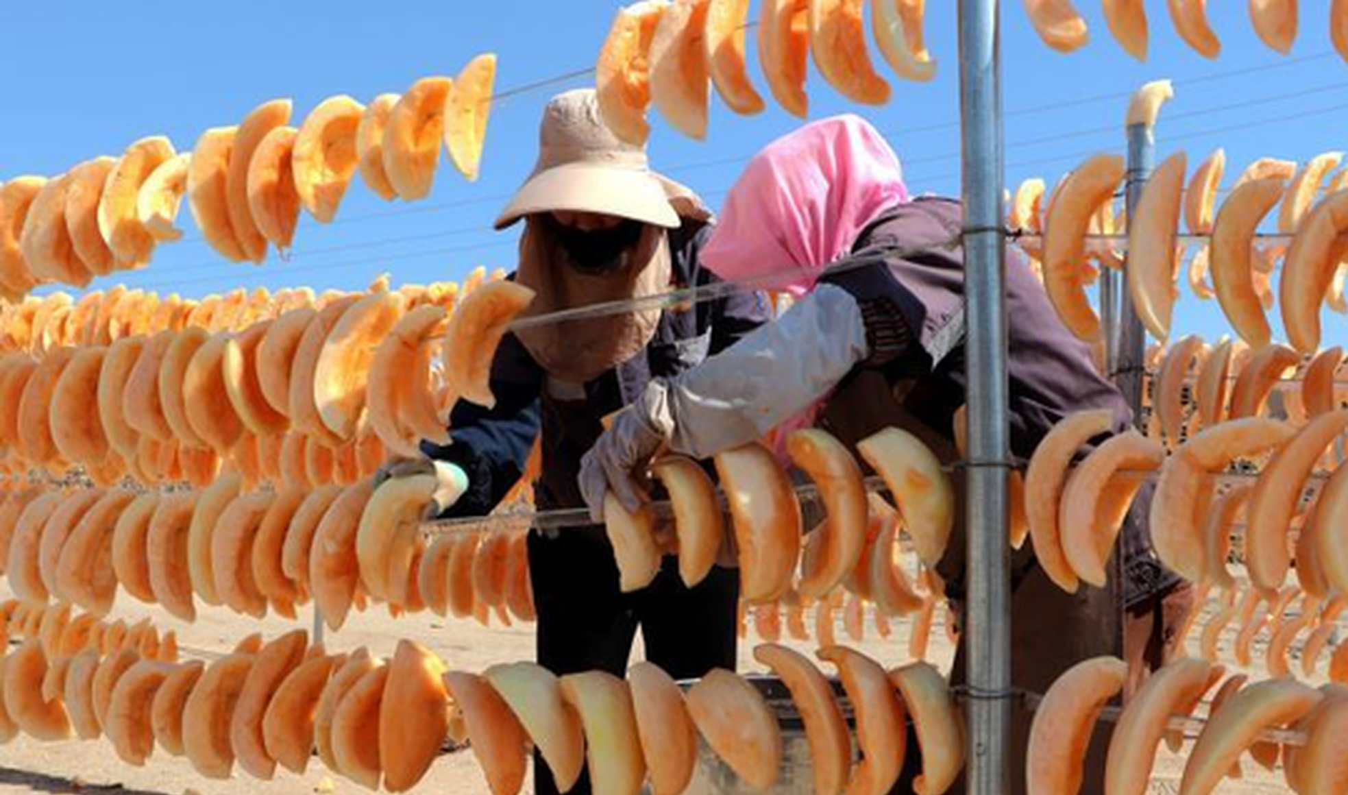 Xinjiang Production and Construction Corps expands value-added processing for fruit industry