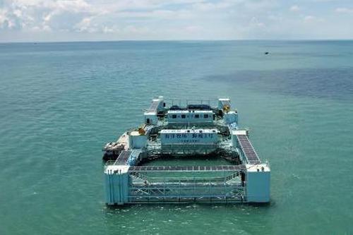 China's gross ocean product reaches 5.5 trillion yuan in H1, up 5.1%