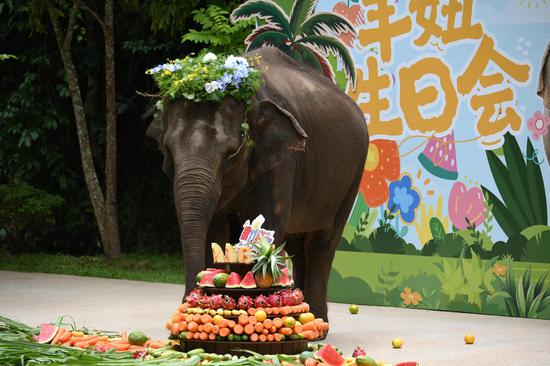 Xishuangbanna holds event to mark World Elephant Day