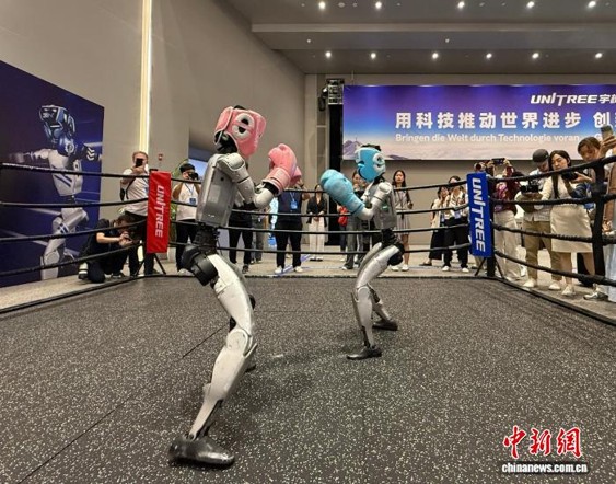 Unitree humanoid robots compete in a boxing match in Hangzhou, Zhejiang Province, June 2, 2026. (Photo: China News Service/ Zhangbin)