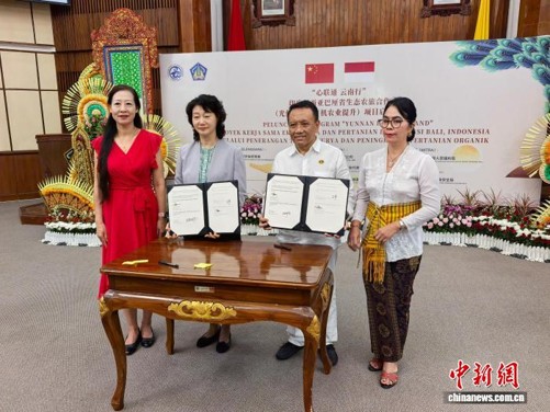 The Yunnan Provincial People’s Association for Friendship with Foreign Countries signs a friendly cooperation agreement with the Bali Provincial Branch of the Indonesia-China Friendship Association on August 12, 2026. (Photo: Yunnan Provincial Commercial Representative Office in Indonesia (Jakarta))