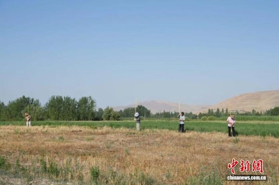 Working site of the China Kyrgyzstan joint archaeological team. (Photo: Collaborative Research Centre for Archaeology of the Silk Roads)