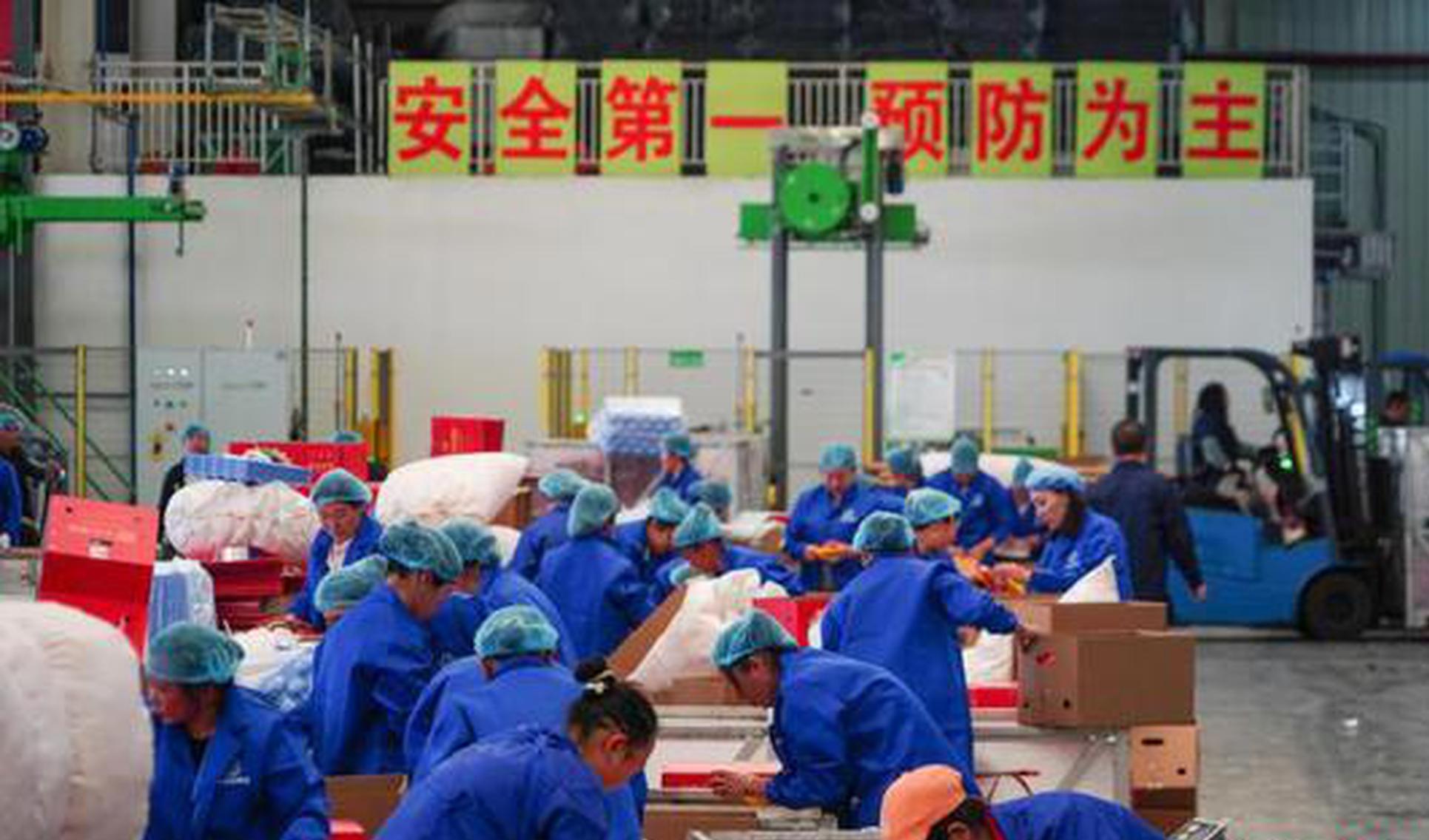 Guizhou apples gain popularity across Southeast Asia