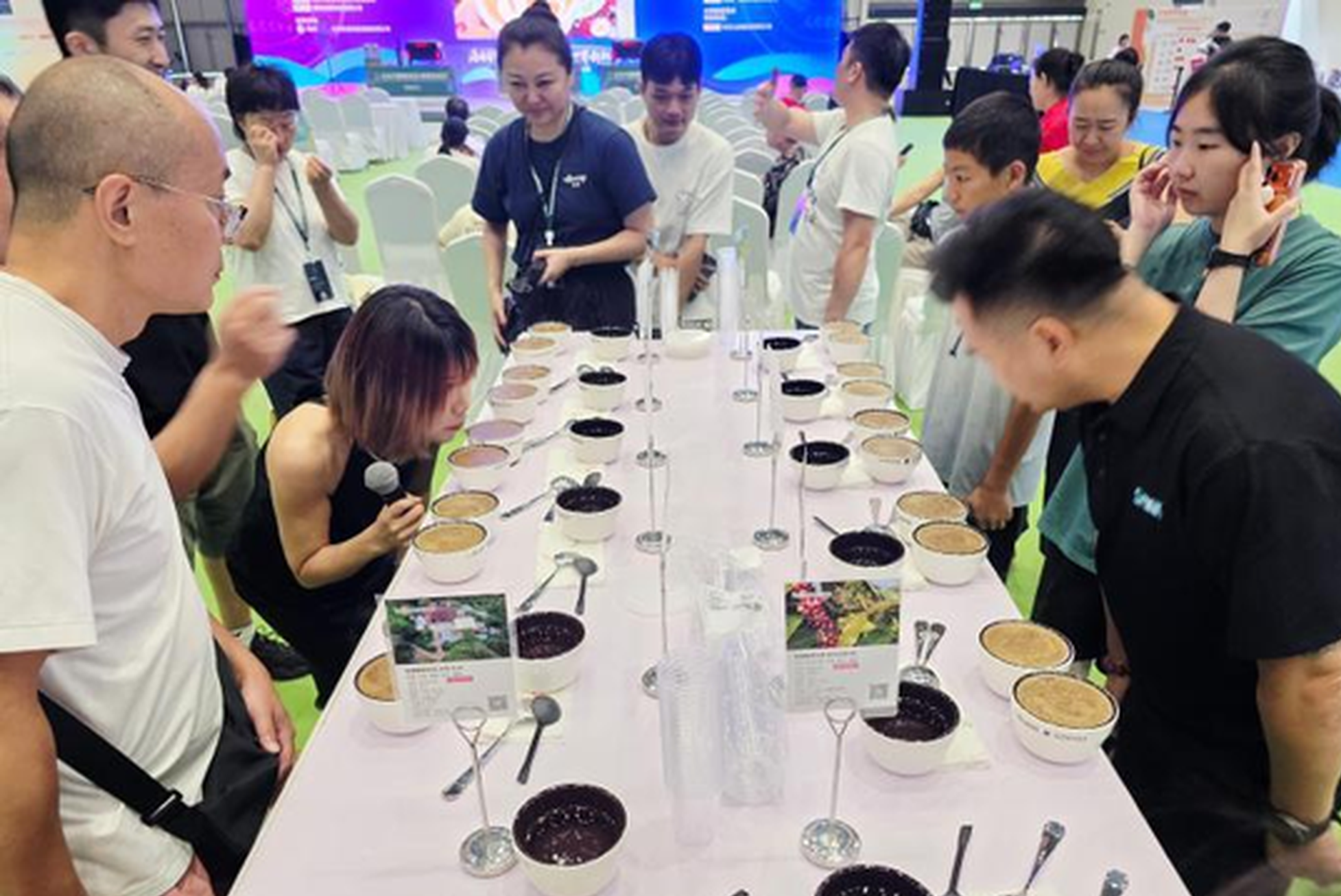 China's fast-growing coffee market could make Hainan new import gateway: expert