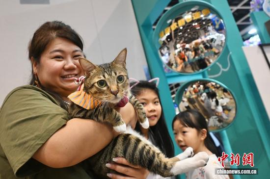 A cat fan holds a cat at the Hong Kong Cat Expo 2026 held in Hong Kong Special Administrative Region, July 31, 2026. (Photo: China News Service)
