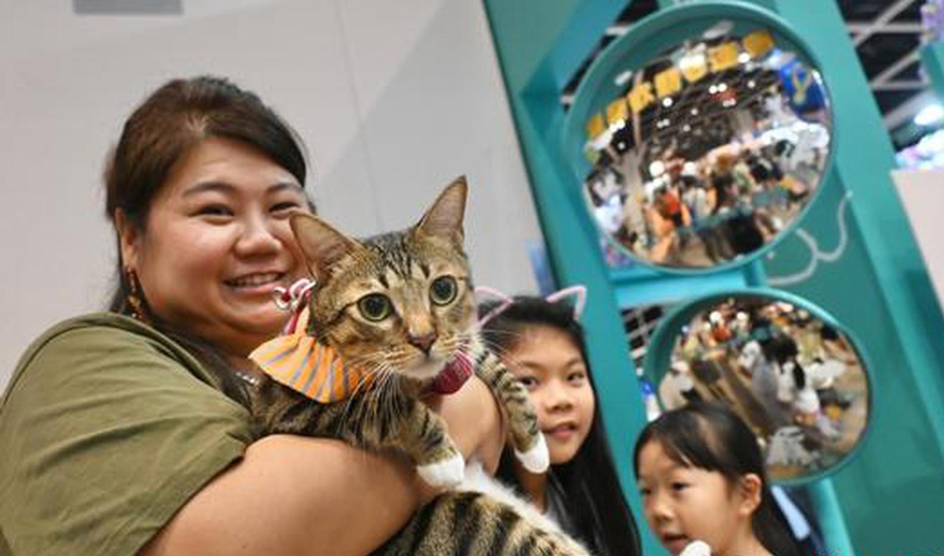 China's pet insurance market grows 60-fold in five years