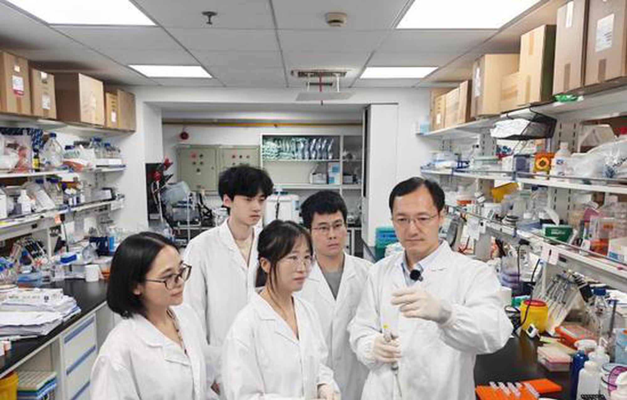 Shanghai and Hong Kong researchers unlocks key heart repair mechanism