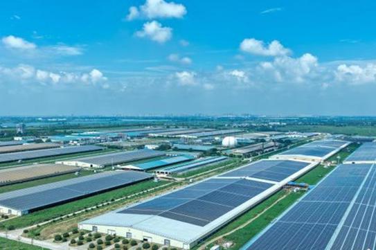 China explores new ways to combine solar power with agriculture