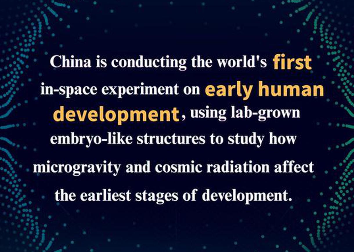 China conducts world's first in-space study of early human development