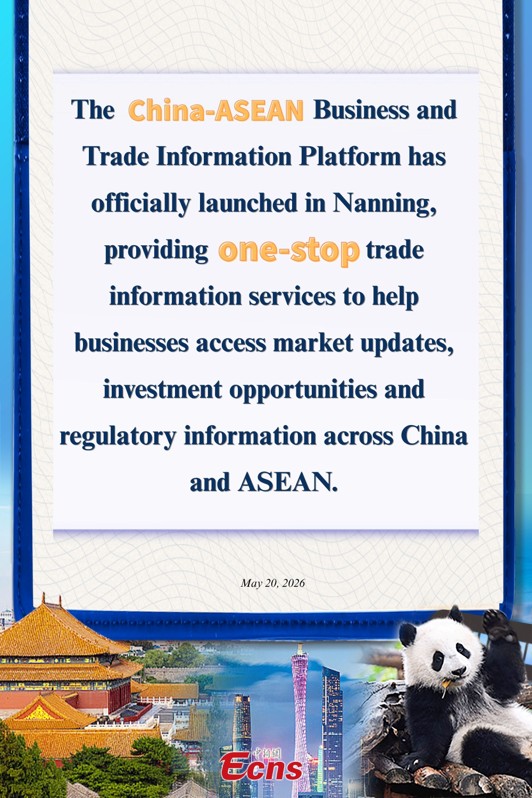 China-ASEAN business and trade information platform launched