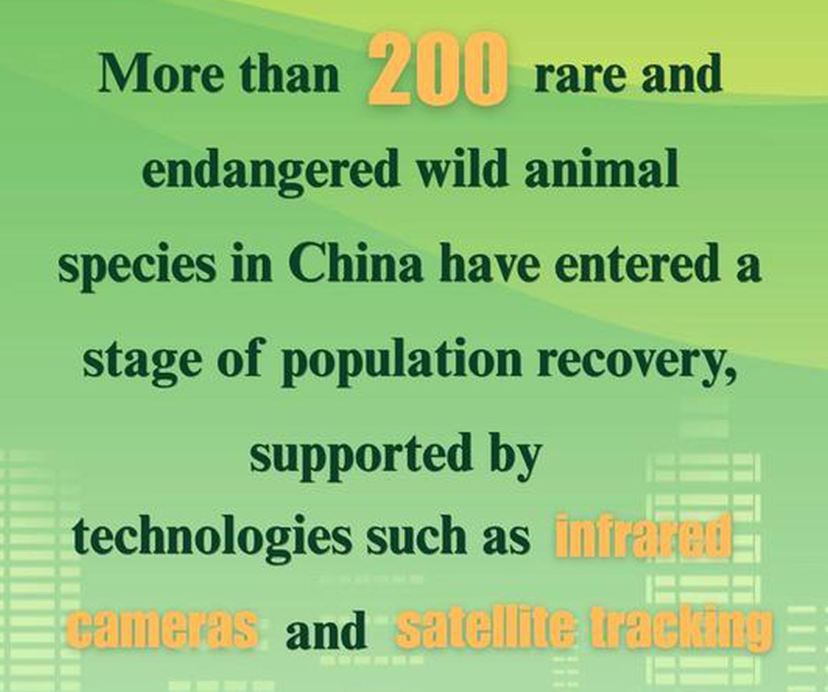 China expands use of technology in wildlife conservation