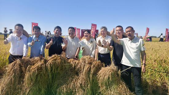 Heilongjiang begins autumn rice harvest across black soil field