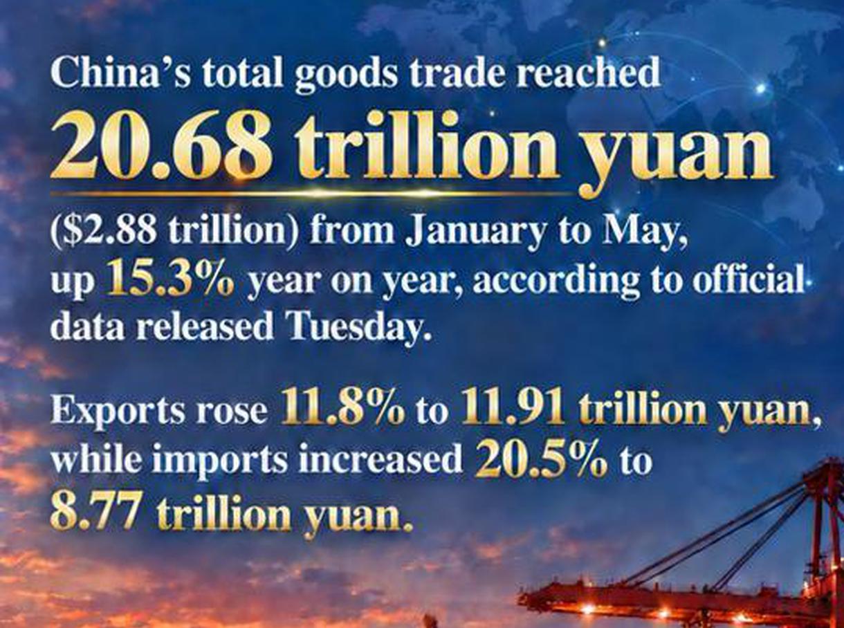 China's foreign trade sustains strong momentum in Jan-May