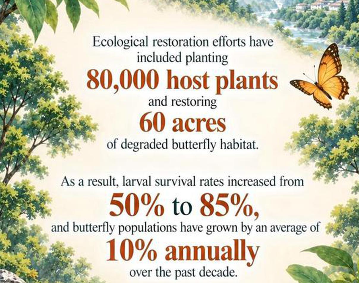 Emergence of 150 million butterflies in Yunnan showcase China's ecological success