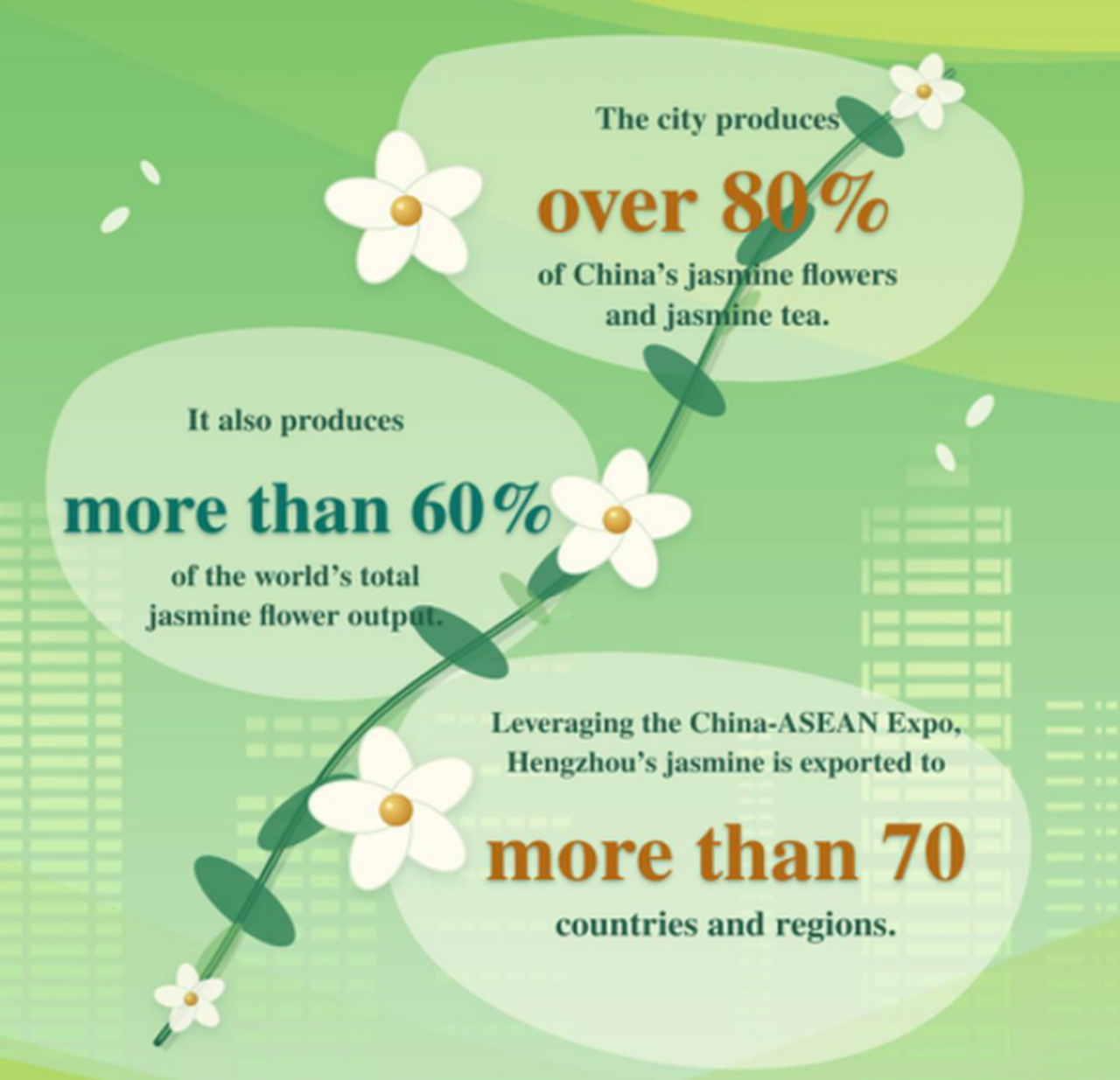 Jasmine fragrance from Guangxi's Hengzhou charms the world