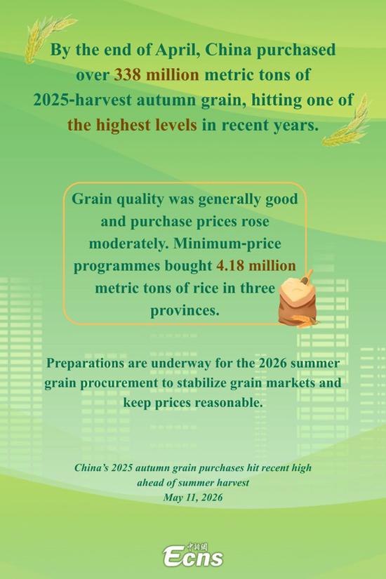 China's 2025 autumn grain purchases hit recent high ahead of summer harvest